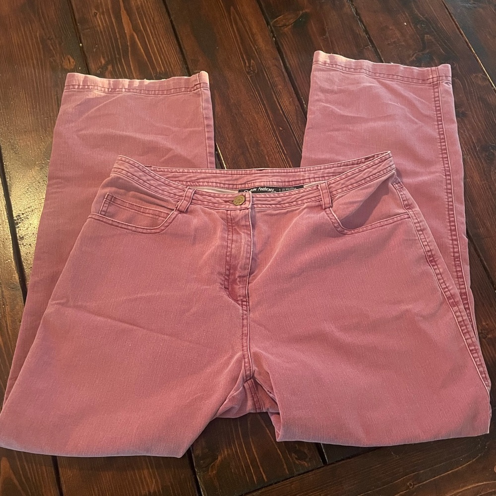 Sharon Anthony Jeans size 10 petite